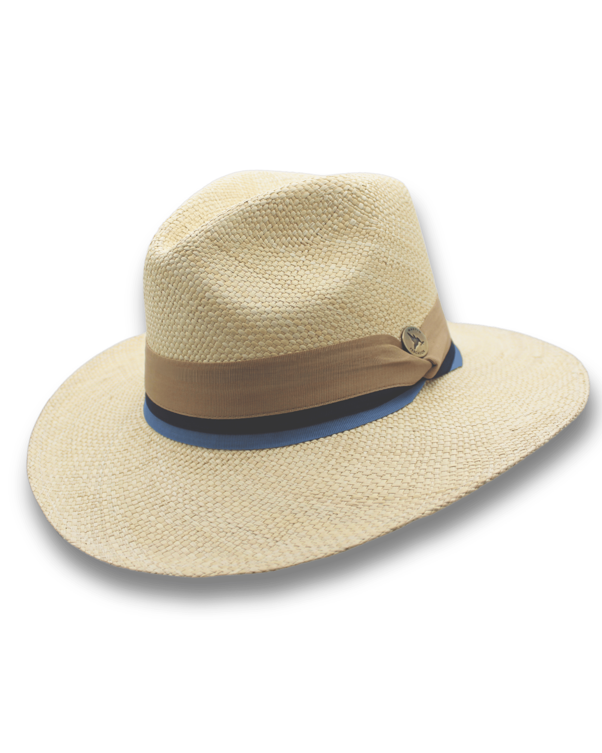 Sombrero Cinta Lugano Herraje Moneda