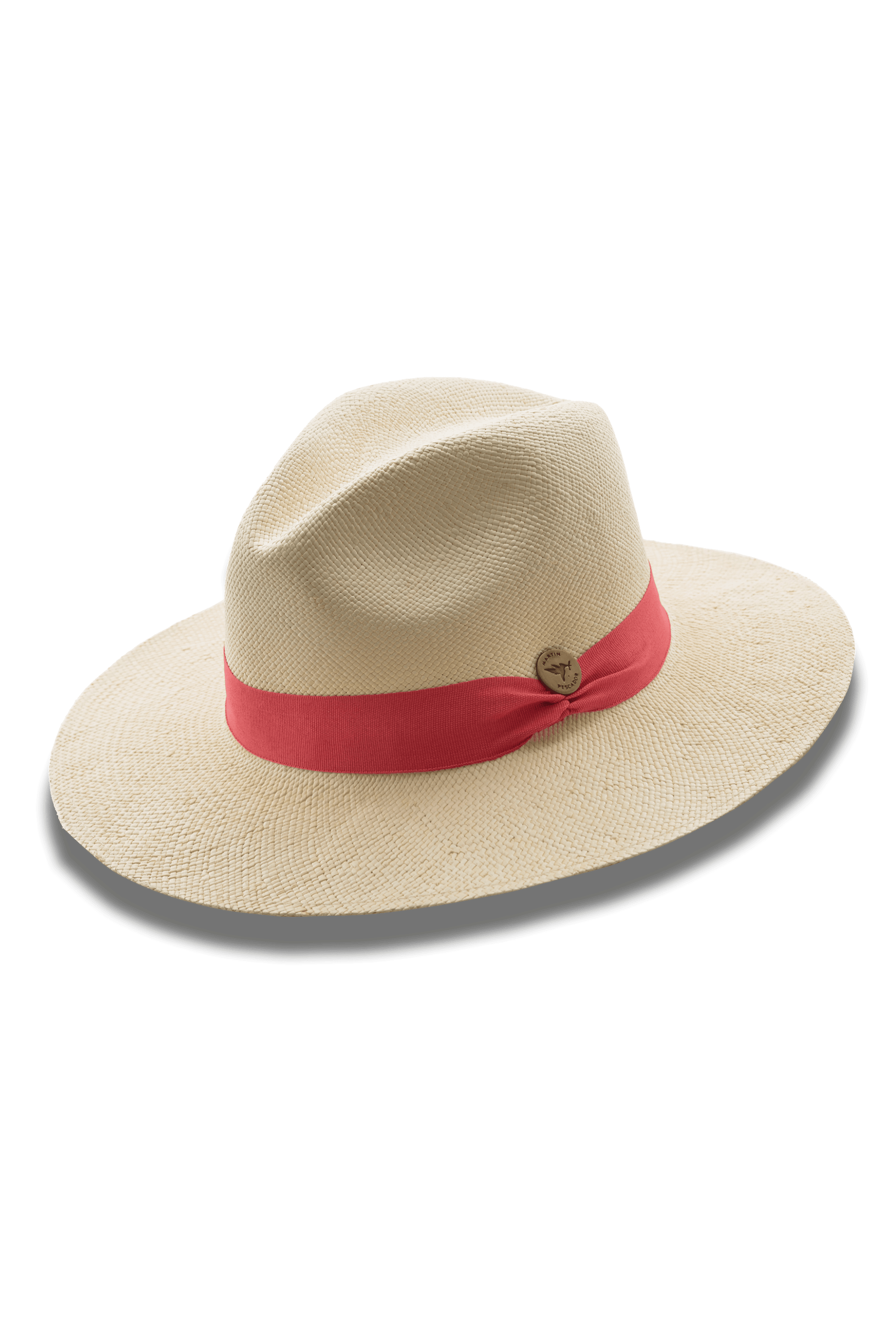 Sombreros Cinta Sencilla Herraje Moneda