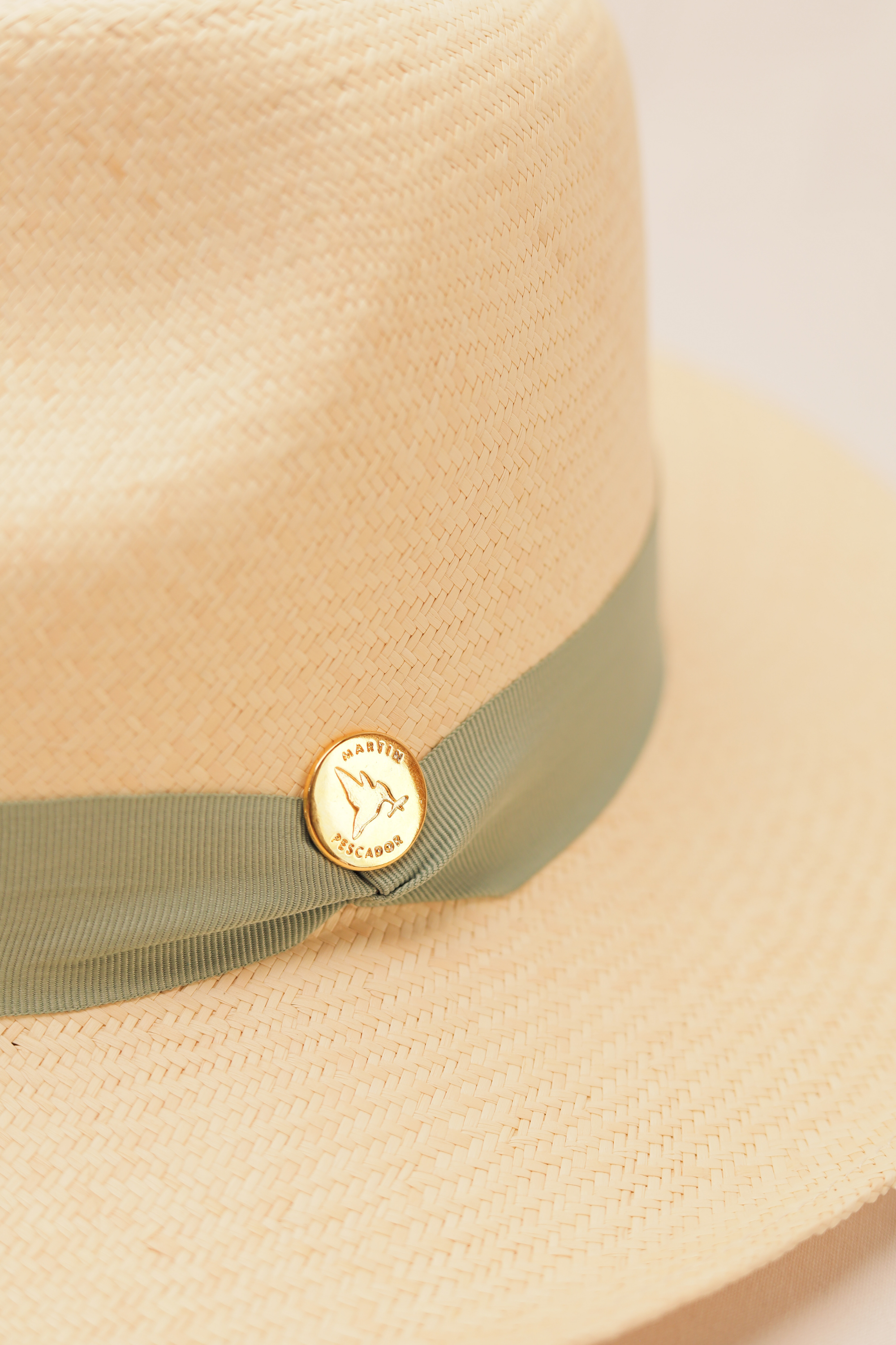 Sombreros Cinta Sencilla Herraje Moneda