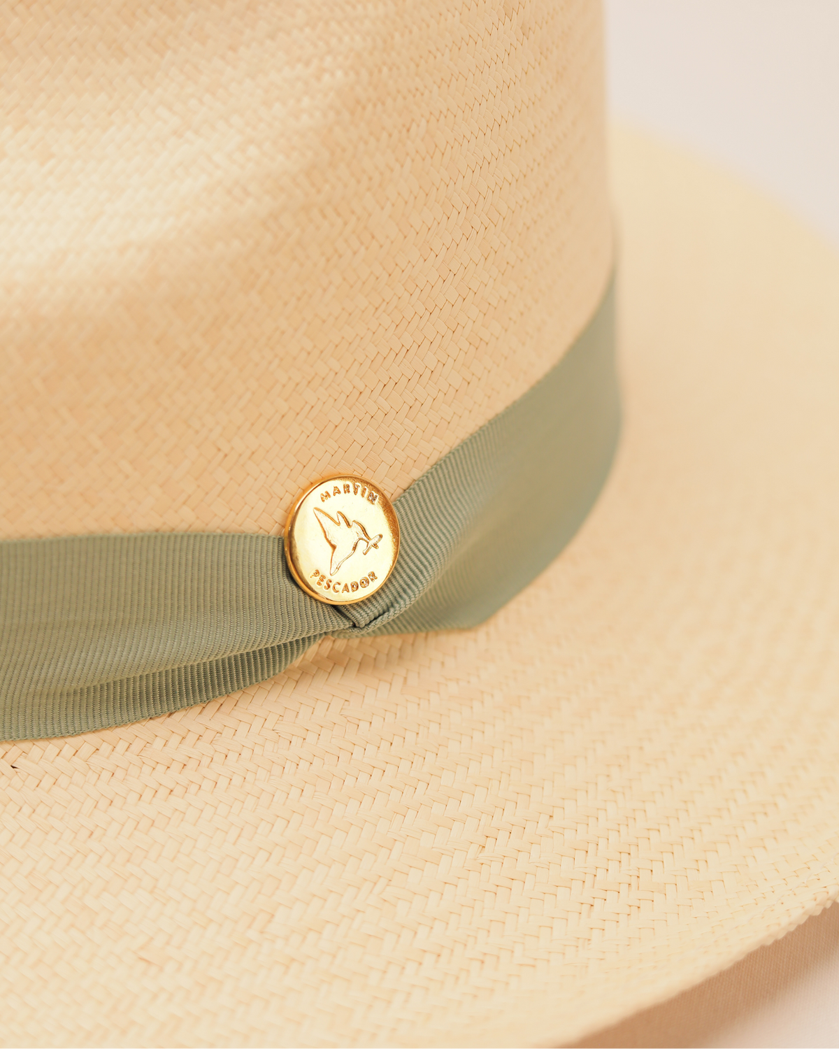 Sombreros Cinta Sencilla Herraje Moneda